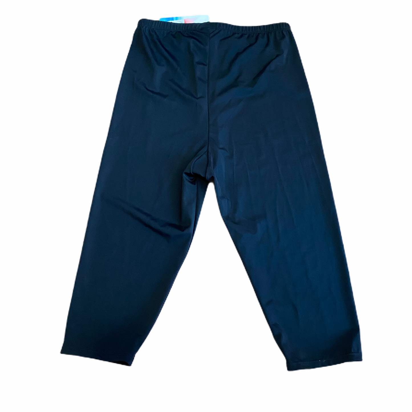 New Swimsuits for All aquabelle swim pants size 16