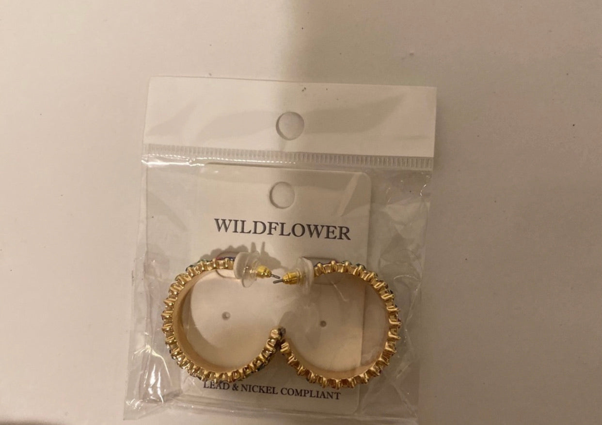 Rainbow earrings
