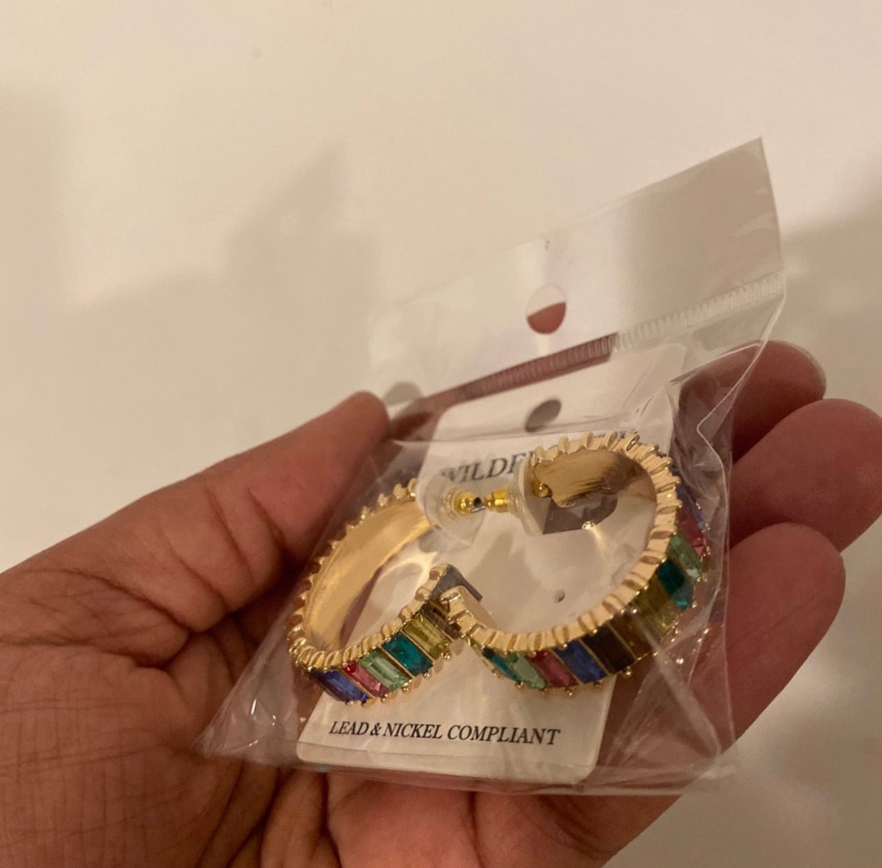 Rainbow earrings