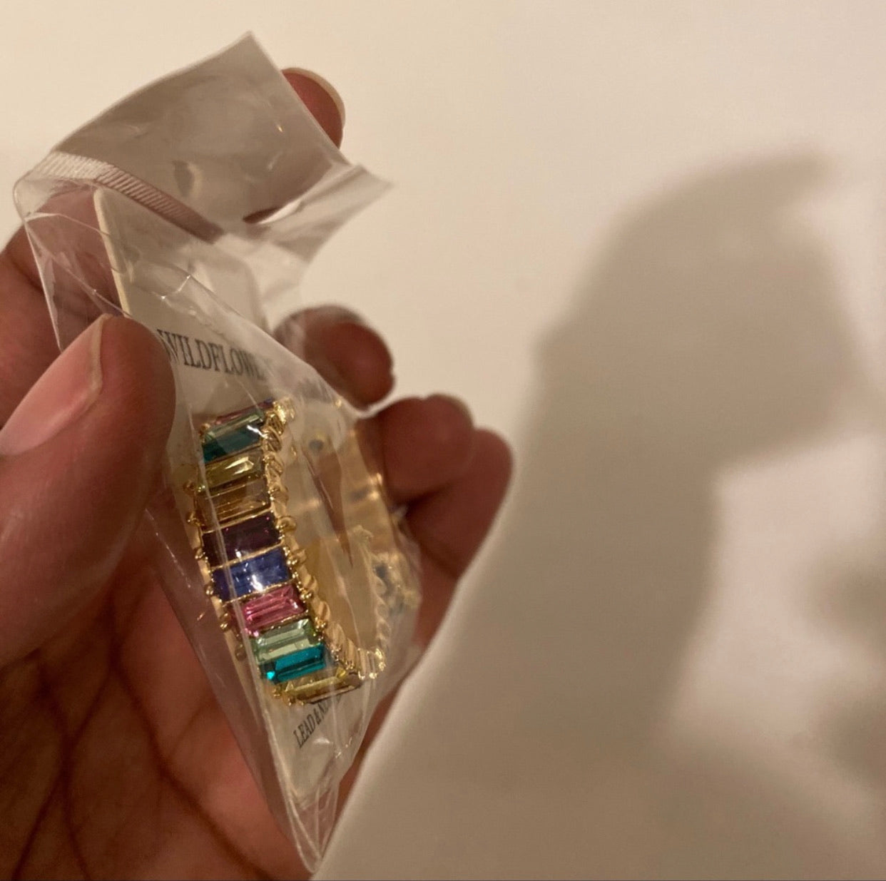 Rainbow earrings